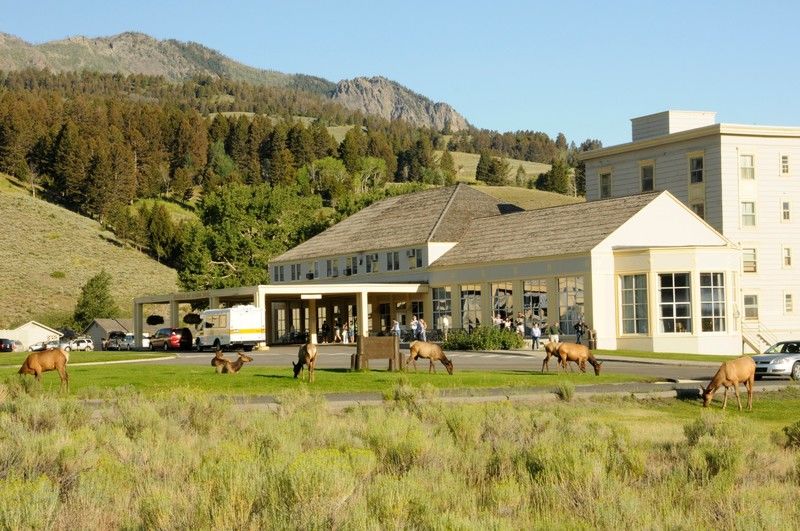 Mammoth Hot Springs Hotel Eksteriør billede